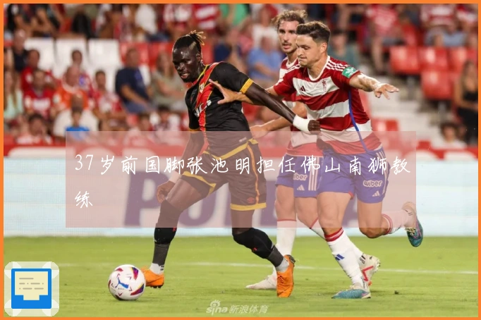 37岁前国脚张池明担任佛山南狮教练